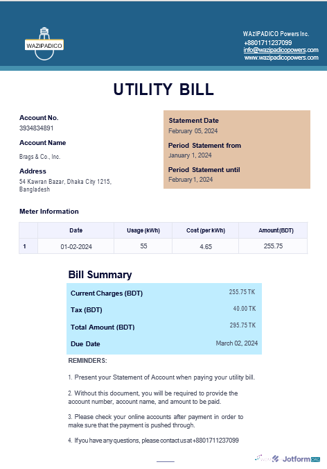 Download BANGLADESH WAZIPADICO POWER business utility bill Word and PDF template Photoshop template